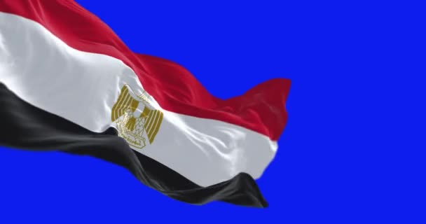 エジプトの国旗は青い背景で孤立した シームレス3Dレンダリングアニメーション クロマキー スローモーションループ ブルースクリーン 4Kについて 選択的なフォーカス — ストック動画