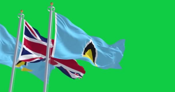 イギリスの国旗を掲げるセントルシアの国旗は緑の背景で孤立した シームレス3Dレンダリングアニメーション クロマキー スローモーションループ グリーン スクリーン 4Kについて 選択的なフォーカス — ストック動画