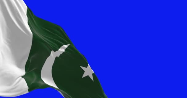 巴基斯坦国旗在蓝色背景下飘扬的特写 无缝3D渲染动画 慢动作回圈蓝色屏风4K 有选择的重点 — 图库视频影像