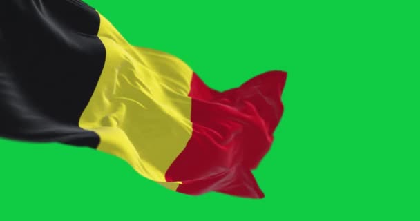 Közelkép Nemzeti Zászló Belgium Integetett Elszigetelt Zöld Alapon Zökkenőmentes Render — Stock videók