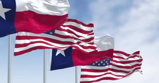 Σημαίες Του Τέξας Κυματίζουν Στον Άνεμο Αμερικάνικες Σημαίες Μπλε Κάθετη — Αρχείο Βίντεο
