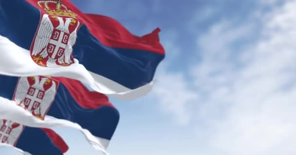 セルビアの国旗が晴れた日 白のバンドは 中央の左側にセルビアの紋章を施した シームレス3Dレンダリングアニメーション スローモーションループ 選択的なフォーカス — ストック動画