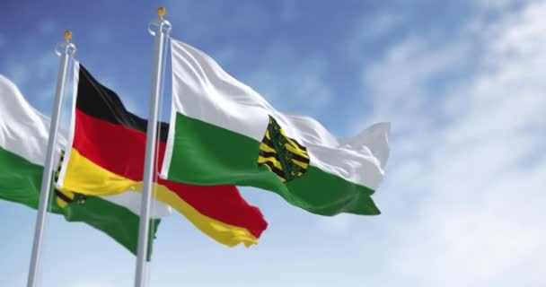 Флаг Саксонии Размахивающий Ветром Ясный День Саксония Государство Имеющее Выхода — стоковое видео