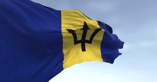 Close Bandeira Nacional Barbados Acenando Vento Dia Claro Bandeira Azul — Vídeo de Stock