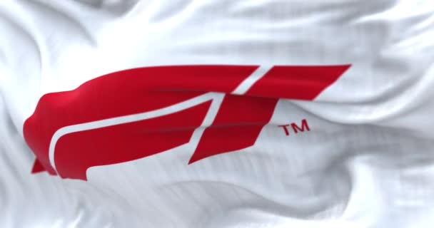 2024年2月2日 法国巴黎 一级方程式赛车的特写挥动白旗 无缝3D渲染动画 慢动作回圈有选择的重点 — 图库视频影像