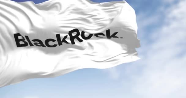 New York Usa Februari 2024 Blackrock Vit Flagga Vinkar Vinden — Stockvideo