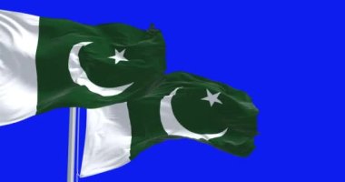 Mavi arka planda iki Pakistan bayrağı sallanıyor. Kusursuz 3D canlandırma animasyonu. Krom anahtar. Yavaş çekim döngüsü. Mavi ekran. 4K