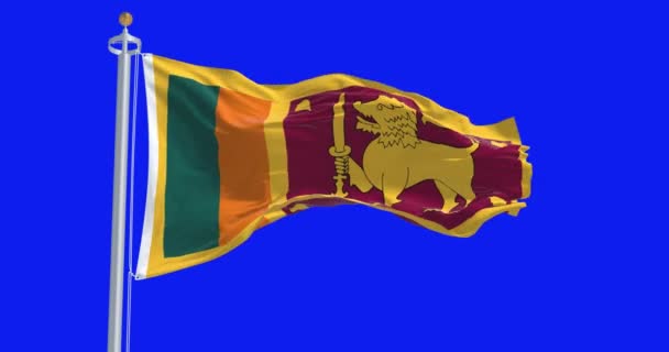 Due Bandiere Nazionali Dello Sri Lanka Sventolano Isolate Sfondo Blu — Video Stock