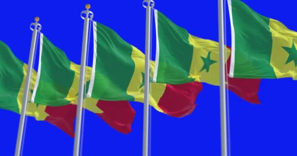Национальные Флаги Сенегала Размахивают Изолированными Синем Фоне Бесшовная Анимация Хрома — стоковое видео