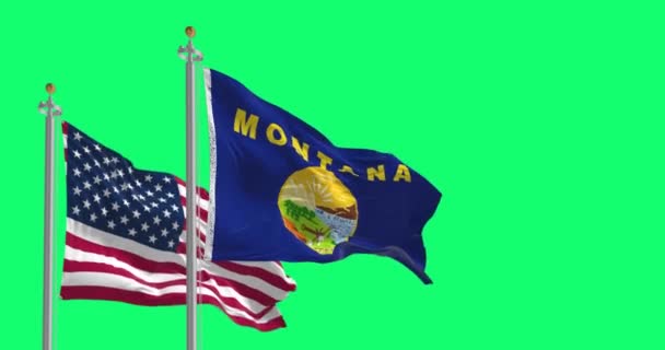 Bandiera Stato Del Montana Sventola Con Bandiera Americana Isolata Sfondo — Video Stock