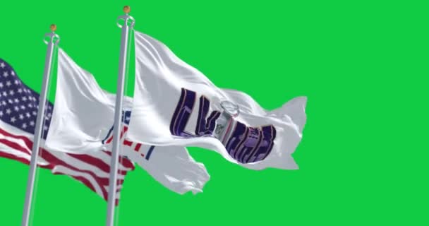Paradise Dec 2023 58Th Super Bowl Nfl Flags Waving Isolated — Stock Video