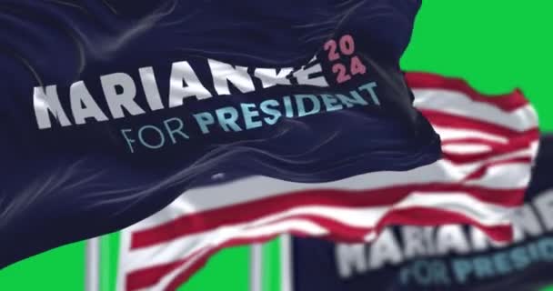 Houston Abd Ekim 2023 Marianne Williamson 2024 Kampanya Bayrakları Yeşil — Stok video