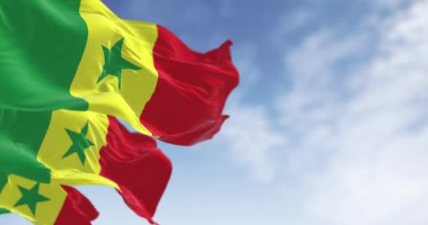 Национальные Флаги Сенегала Размахивают Ясный День Триколор Вертикальными Полосами Традиционные — стоковое видео
