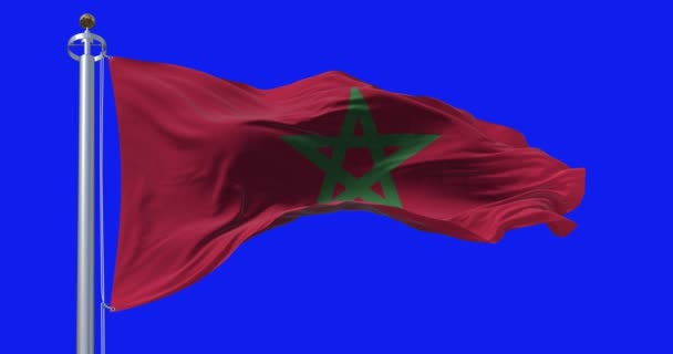 Primer Plano Bandera Nacional Marruecos Ondeando Aislada Sobre Fondo Azul — Vídeo de stock