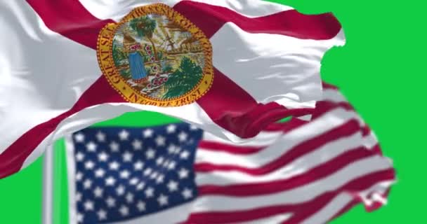 Flaggor Florida Och Usa Viftar Isolerad Grön Bakgrund Sömlös Rendering — Stockvideo