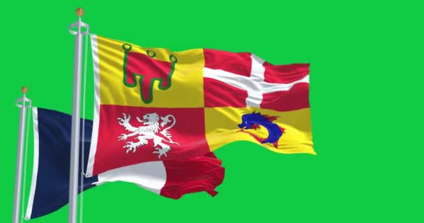 奥弗涅 阿尔卑斯和法国国旗在绿色背景下飘扬 无缝3D渲染动画 绿色屏幕 阿尔法频道慢动作回圈4K — 图库视频影像
