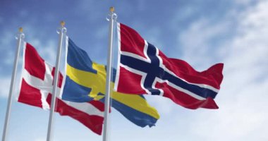 Norveç, İsveç ve Danimarka 'nın bayrakları açık bir günde rüzgarda sallanıyor. Avrupa İskandinav ülkeleri. Kusursuz 3 boyutlu animasyon. Yavaş çekim döngüsü. Seçici odak