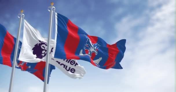 Selhurst Wielka Brytania Października 2023 Klub Piłkarski Crystal Palace Flagi — Wideo stockowe