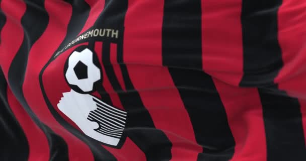Bournemouth Września 2023 Zbliżenie Flagi Bournemouth Afc Angielski Klub Piłkarski — Wideo stockowe