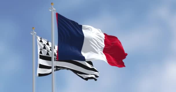 브르타뉴 국기가 프랑스 국기와 흔들리고 있습니다 브르타뉴는 프랑스 서부의 역사적인 — 비디오
