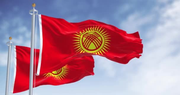 Drapeaux Nationaux Kirghizistan Agitant Par Temps Clair Champ Rouge Soleil — Video