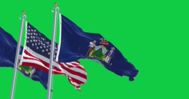 Maine eyaleti bayrakları ve yeşil arka planda izole edilmiş Amerikan bayrağı. Kusursuz 3D canlandırma animasyonu. Yeşil ekran. Krom anahtar. Alfa kanalı. Yavaş çekim döngüsü. 4 bin. Seçici odak