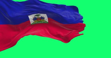 Yeşil arka planda izole edilmiş Haiti ulusal bayrağı sallanıyor. Kusursuz 3D canlandırma animasyonu. Yeşil ekran. Krom anahtar. Alfa kanalı. Yavaş çekim döngüsü. 4K
