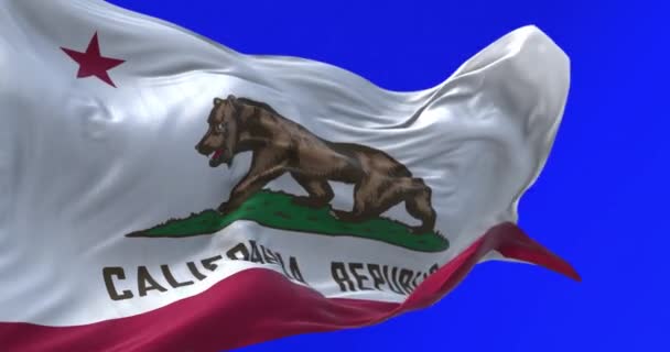 Close Bandeira Estado Califórnia Acenando Isolado Fundo Azul Bandeira Urso — Vídeo de Stock