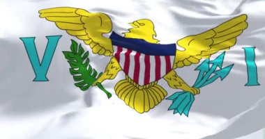 Birleşik Devletler Virgin Adaları bayrağının dalgalandığı yakın çekim. ABD 'nin Virgin Adaları, ABD' nin birleşik ve organize olmayan bir bölgesidir. Kusursuz 3 boyutlu animasyon. Yavaş çekim döngüsü