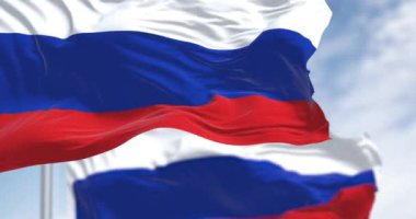 Açık bir günde rüzgarda dalgalanan Rusya 'nın üç ulusal bayrağı. Beyaz, mavi ve kırmızı yatay çizgiler. Rusya Federasyonu bayrağı. Kusursuz 3 boyutlu animasyon. Yavaş çekim döngüsü. Seçici odak