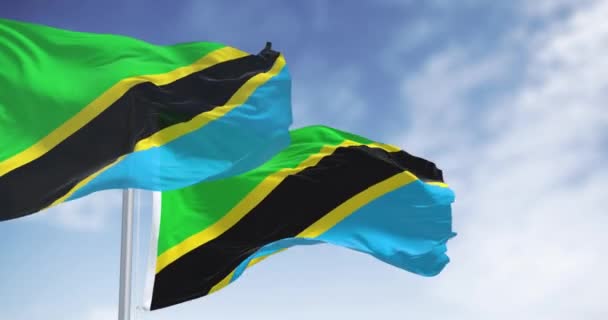 坦桑尼亚国旗飘扬 绿色和蓝色三角形 有黑色对角线条纹和黄色边 无缝3D渲染动画 慢动作回路 — 图库视频影像