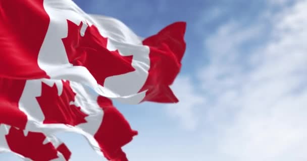 Detailní Záběr Kanadské Národní Vlajky Mávající Jasného Dne Bílý Čtverec — Stock video