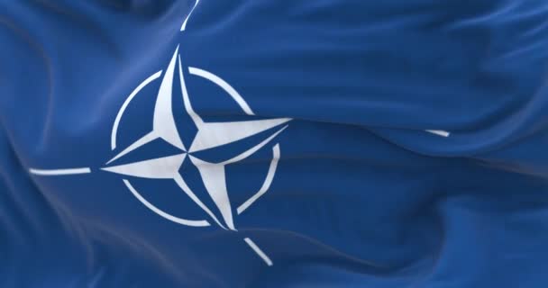Brüsszel 2024 Február Nato Zászlólobogásának Közeli Felvétele Nemzetközi Katonai Szövetség — Stock videók