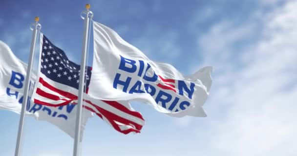 2024年2月20日 ワシントンD バイデン ハリス2024年大統領選挙旗がアメリカ国旗を掲げた 編集アニメーション シームレス3Dレンダリングアニメーション スローモーションループ 選択的なフォーカス — ストック動画