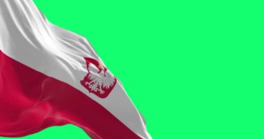 Tennessee eyaleti bayrağı yeşil arka planda izole edilmiş Amerikan bayrağıyla dalgalanıyor. Kusursuz 3D canlandırma animasyonu. Krom anahtar. Yavaş çekim döngüsü. Yeşil ekran. 4K