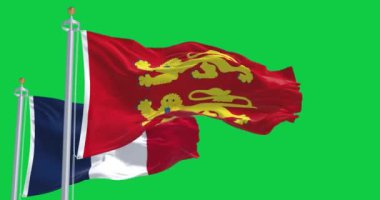 Tennessee eyaleti bayrağı yeşil arka planda izole edilmiş Amerikan bayrağıyla dalgalanıyor. Kusursuz 3D canlandırma animasyonu. Krom anahtar. Yavaş çekim döngüsü. Yeşil ekran. 4K