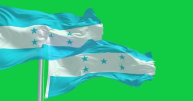 Tennessee eyaleti bayrağı yeşil arka planda izole edilmiş Amerikan bayrağıyla dalgalanıyor. Kusursuz 3D canlandırma animasyonu. Krom anahtar. Yavaş çekim döngüsü. Yeşil ekran. 4K