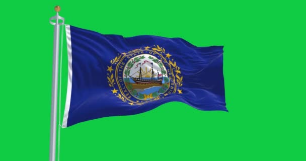 テネシー州旗は緑の背景に孤立したアメリカ国旗を掲げている シームレス3Dレンダリングアニメーション クロマキー スローモーションループ グリーン スクリーン 4Kについて — ストック動画