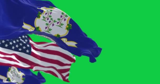 Bandeira Estado Tennessee Acenando Com Bandeira Americana Isolada Fundo Verde — Vídeo de Stock