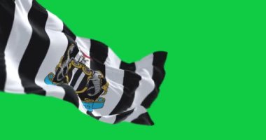 Newcastle, İngiltere; 14 Eylül 2023: Newcastle Futbol Kulübü bayrağı yeşil arka planda izole edildi. Kusursuz 3D canlandırma animasyonu. Krom anahtar. Yavaş çekim döngüsü. Yeşil ekran. 4 bin. Seçici odak.