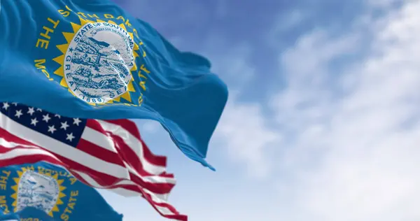 Bandeira Estado Dakota Sul Agitando Junto Com Bandeira Nacional Dos Fotografias De Stock Royalty-Free