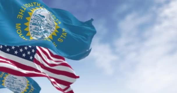 사우스 다코타 국기는 미국의 국기와 흔들리고 있습니다 원활한 렌더링 애니메이션 — 비디오