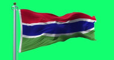 Gambiya 'nın ulusal bayrağı yeşil arka planda izole edilmiş. Kusursuz 3D canlandırma animasyonu. Yeşil ekran. Krom anahtar. Alfa kanalı. Yavaş çekim döngüsü. 4K