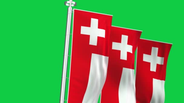 Banderas Verticales Nacionales Suiza Ondeando Aisladas Sobre Fondo Verde Animación — Vídeos de Stock