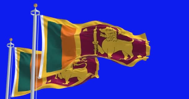 Dvě Srílanské Národní Vlajky Vlnící Izolovaně Modrém Pozadí Bezproblémová Vykreslování — Stock video