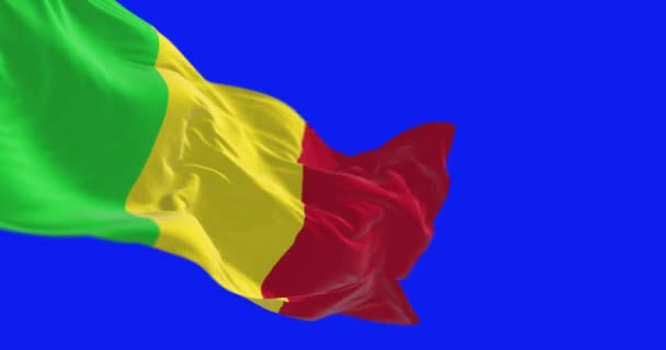 Mali Nationale Vlag Zwaaien Geïsoleerd Blauwe Achtergrond Naadloze Weergave Animatie — Stockvideo