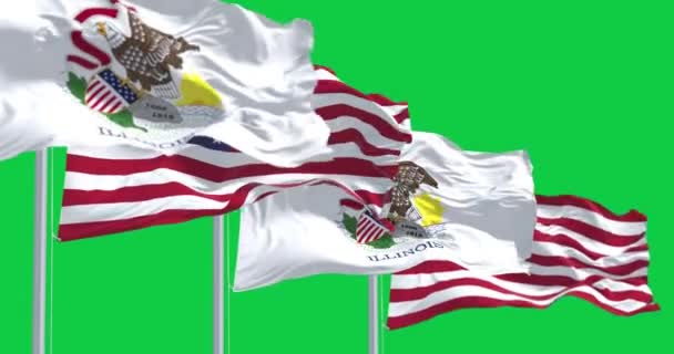 Illinois Staat Vlaggen Zwaaien Met Amerikaanse Nationale Vlaggen Geïsoleerd Groene — Stockvideo