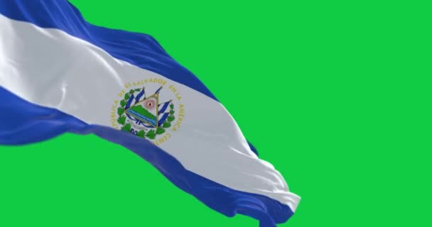 Bandeira Nacional Salvador Acenando Isolado Fundo Verde Animação Renderização Sem — Vídeo de Stock