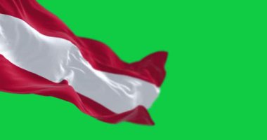 Yeşil arka planda izole edilmiş Avusturya bayrağı dalgalanıyor. Kusursuz 3D canlandırma animasyonu. Krom anahtar. Yavaş çekim döngüsü. Yeşil ekran. 4 bin. Seçici odak.