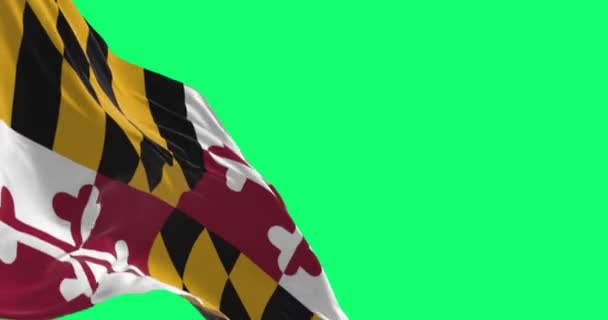 Marylands Statliga Flagga Viftar Isolerad Grön Bakgrund Sömlös Rendering Animation — Stockvideo